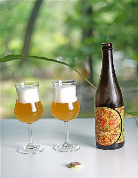 sour beer portraiture jester king austin texas hill country brewery