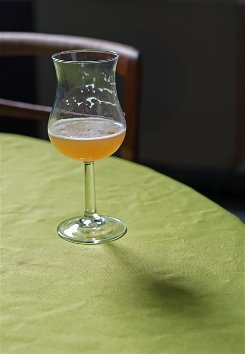 jester king sour beer portrait austin tx