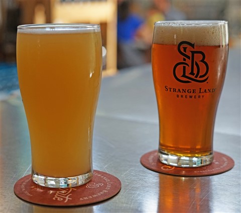Strangeland Brewing Austin 78746 gose and ipa