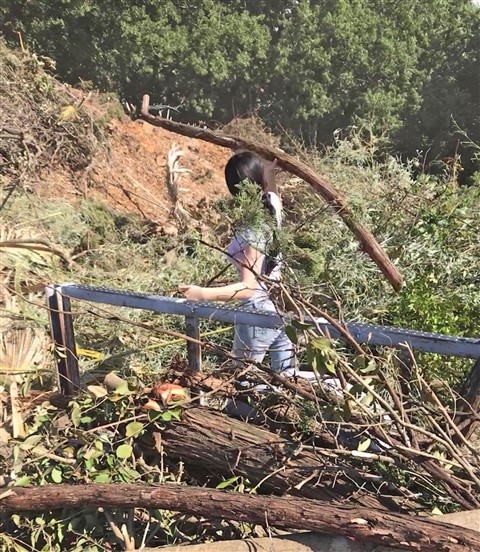 cedar chopper camp texas 78746