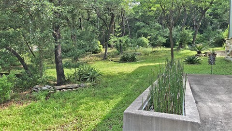 spring rain in austin equals additional yardwork