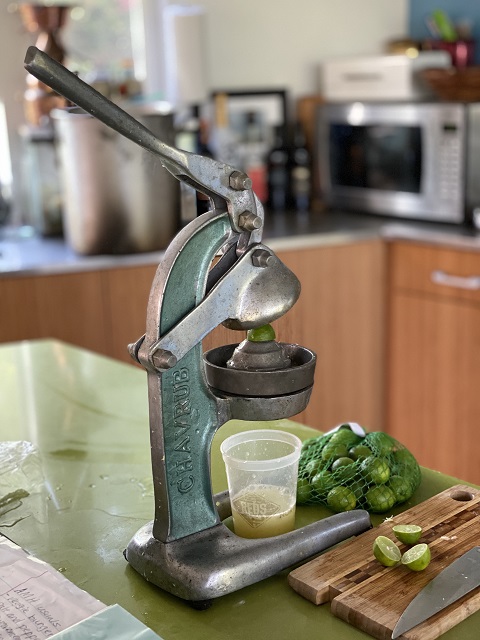 chavrub citrus squisher