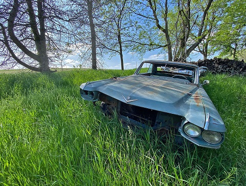 old cadillac in the field