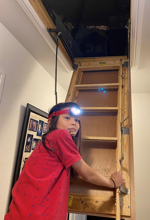 first time to go in an attic
