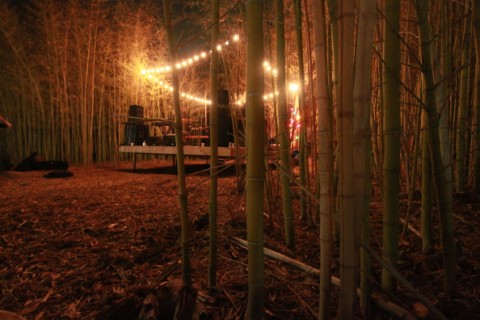 loop project stage in the bamboo forest of zidell house loop project stage in the bamboo forest of zidell house