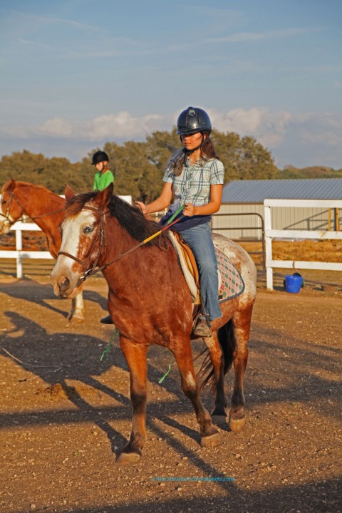 english riding lesson at bel canto farms wimberley english riding lesson at bel canto farms wimberley