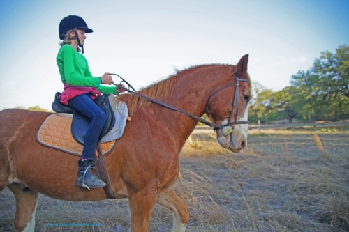 hammer at bel canto farms trail ride hammer at bel canto farms trail ride