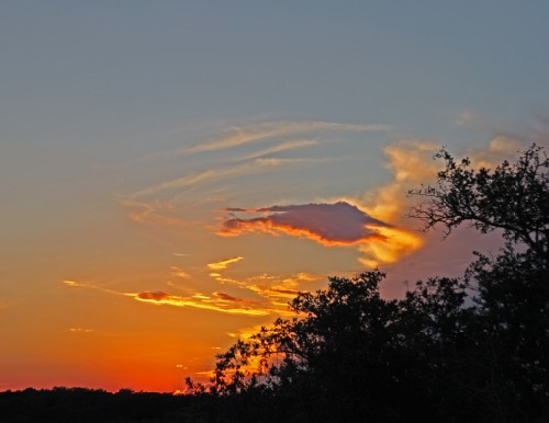 trudy's dripping springs 4 star sunset roof deck trudy's dripping springs 4 star sunset roof deck