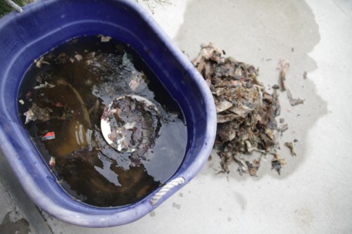 fine china salvage fine china salvage