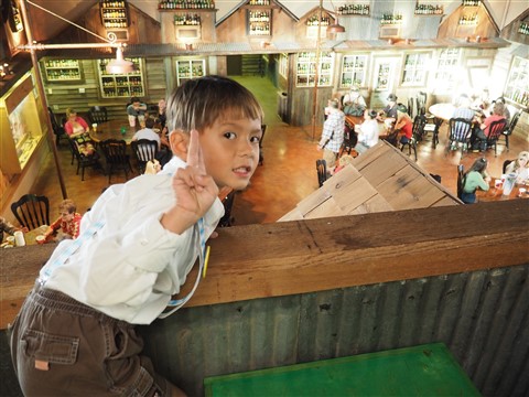 german beer hall wurst fest new braunfels