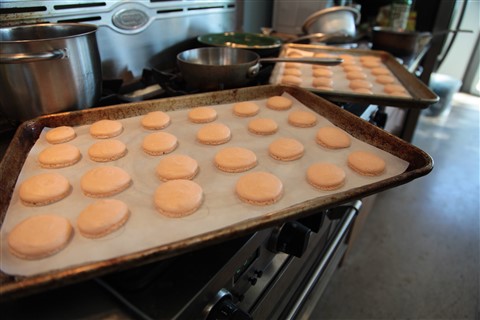 home made macarons austin texas