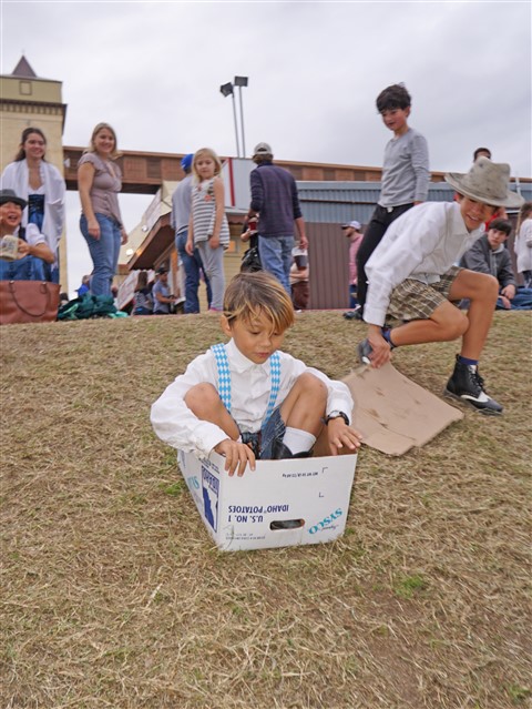 wurstfest sliding down the hill in a cardboard box