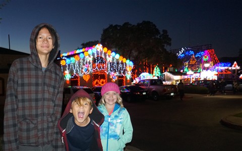 mozart's coffee lake austin holiday light show 