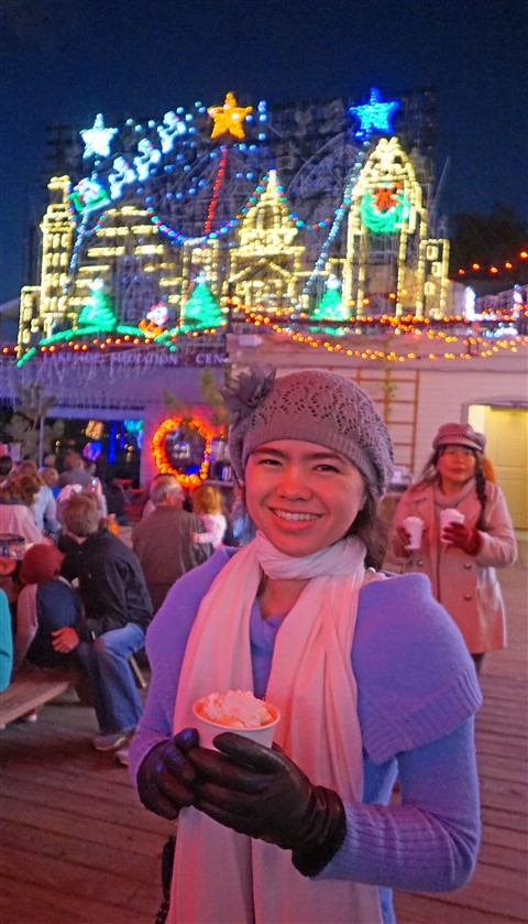 mozart's coffee roasters holiday light show 2015 austin
