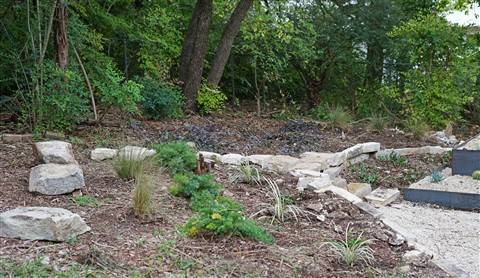 landscaping 78746
