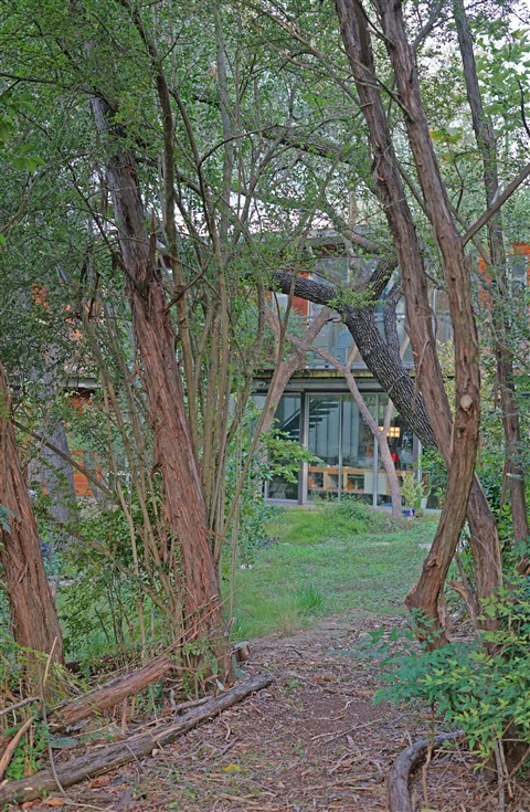 back yard path west lake hills tx