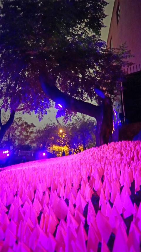 waller creek light show dwg landscape design architecture