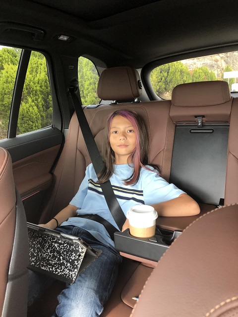 bmw x5 540i 2019 back seat