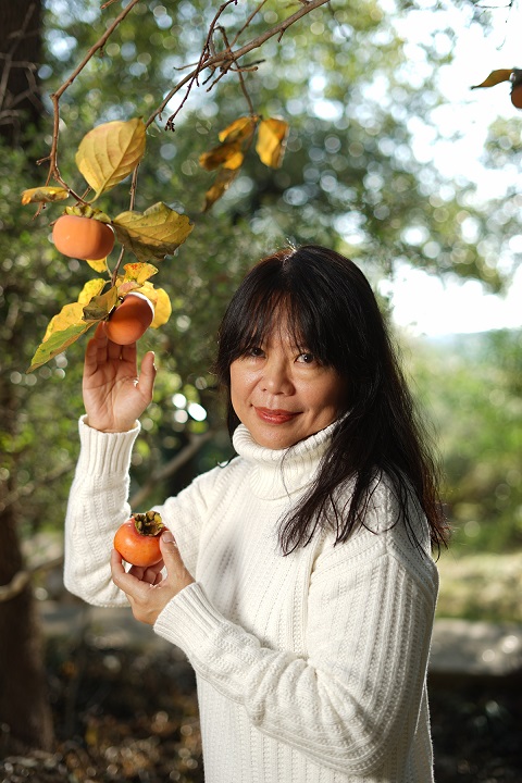 persimmon tree austin 78746