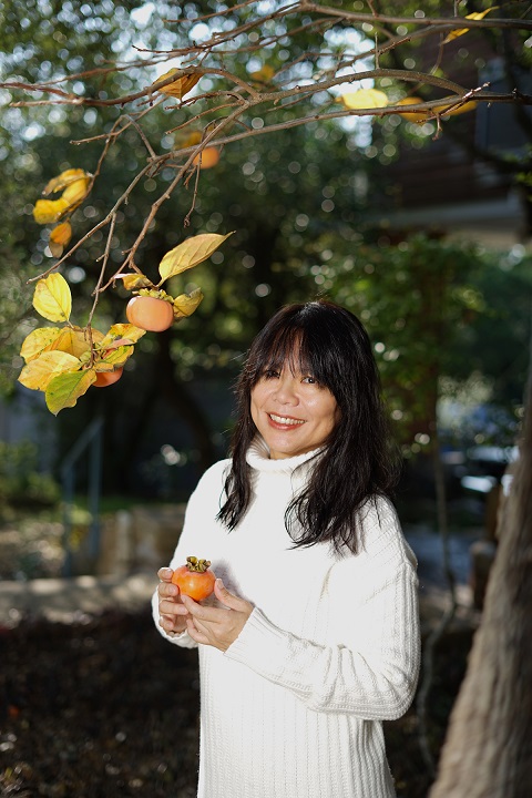 persimmon harvest west lake hills fruit