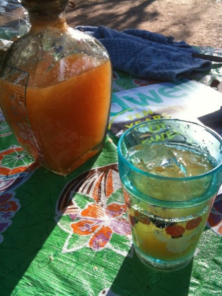 cantalouparita premix