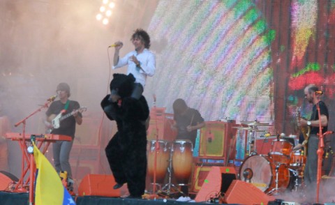 flaming lips, wayne on a bear