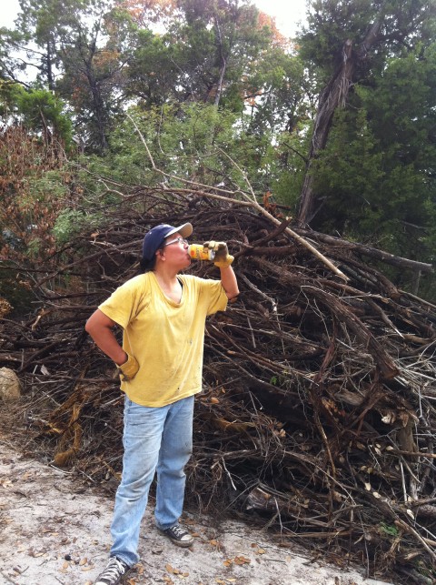 west lake hills dead wood removal west lake hills dead wood removal