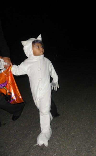 max costume where the wild things are austin max costume where the wild things are austin