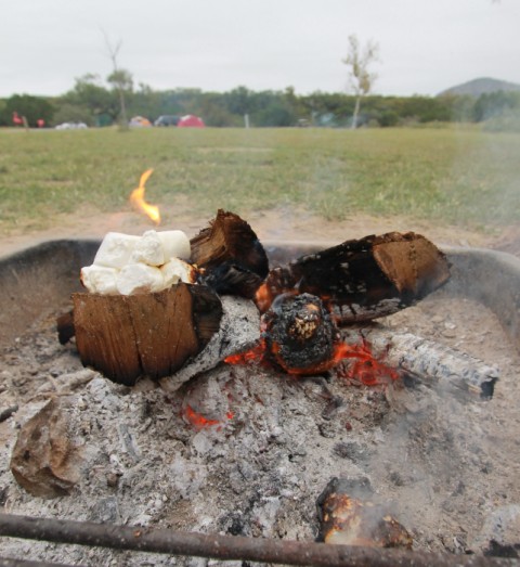 roasting burning marshmallows in the fire roasting burning marshmallows in the fire