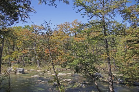 blanco river wimberley fall 2012 blanco river wimberley fall 2012