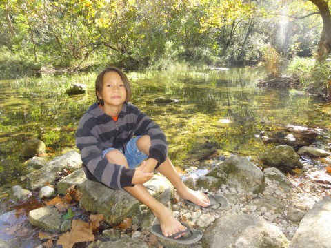 lost creek austin greenbelt fall 2012 lost creek austin greenbelt fall 2012