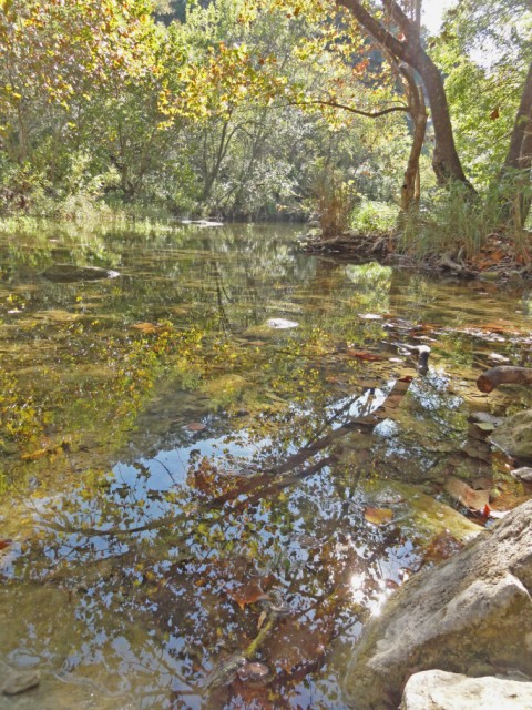 fall colors lost creek greenbelt austin texas 2012 fall colors lost creek greenbelt austin texas 2012