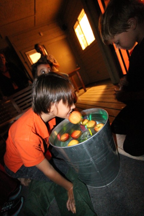 bobbing for apples