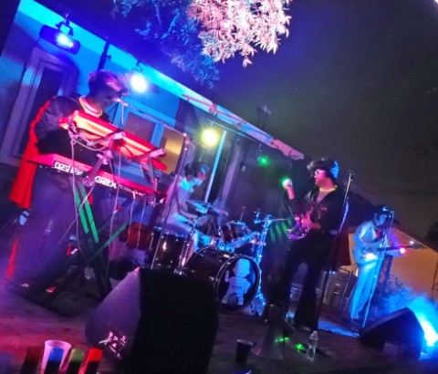 Froetzel Halloween party 2013 sarah partridge austin tx