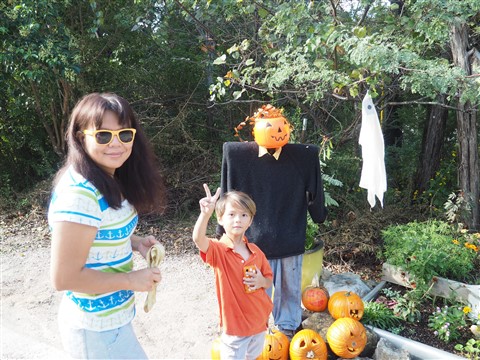 austin west lake hills halloween shrine 2014