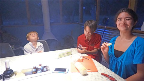 blanco river rapids happy hour