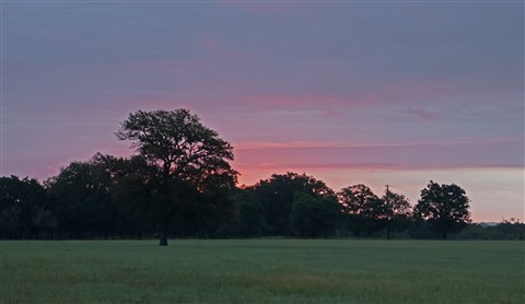 sunrise fredericksburg texas ranch