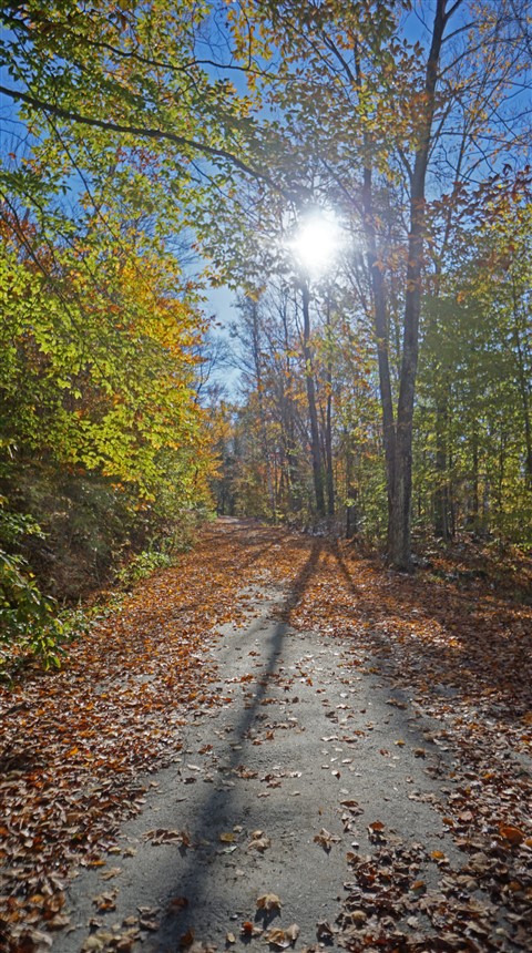 owl head mountain groton peacham vermont fall 2018
