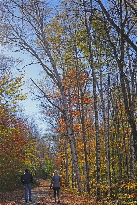 owl head mountin groton state forest vermont vt nek
