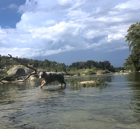 blanco river wimberly river rapids
