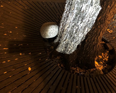 boulder and tree sidewalk uptown dallas alcove wine bar
