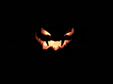 jackolantern halloween pumpkin 