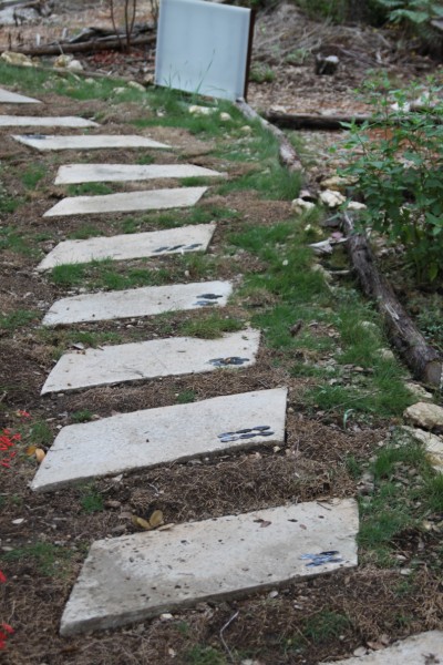 zoysia path zoysia path