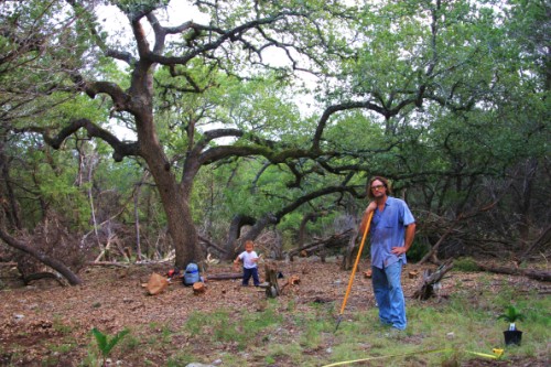wimberley oak wimberley oak