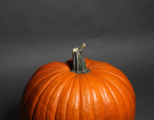 top half of a pumkin.... why not? top half of a pumkin.... why not?