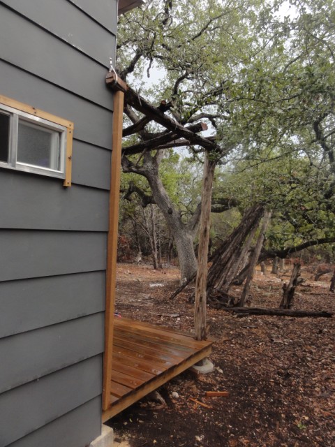 big oak tree big oak tree