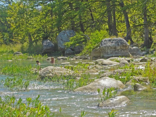 cypress trees blanco river wimberley cypress trees blanco river wimberley