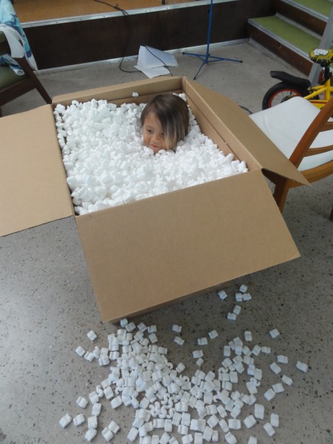 amazon prime free two day shipping boy in a box amazon prime free two day shipping boy in a box