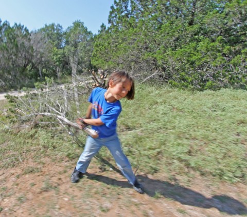 wimberley cedar removal wimberley cedar removal