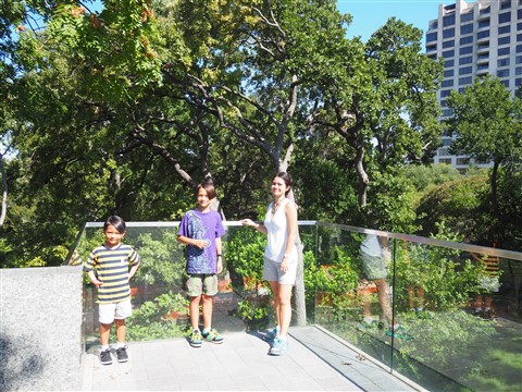 katry trail turtle creek dallas